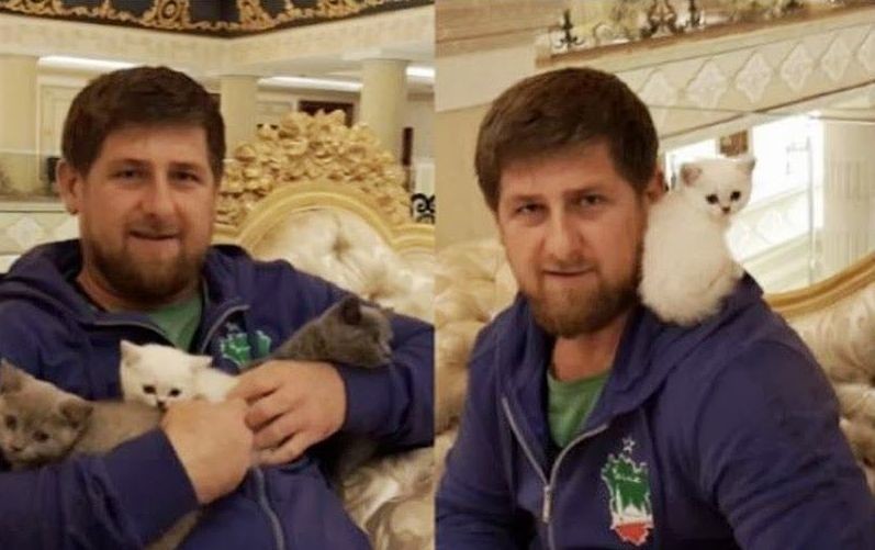 Любимые питомцы известных политиков