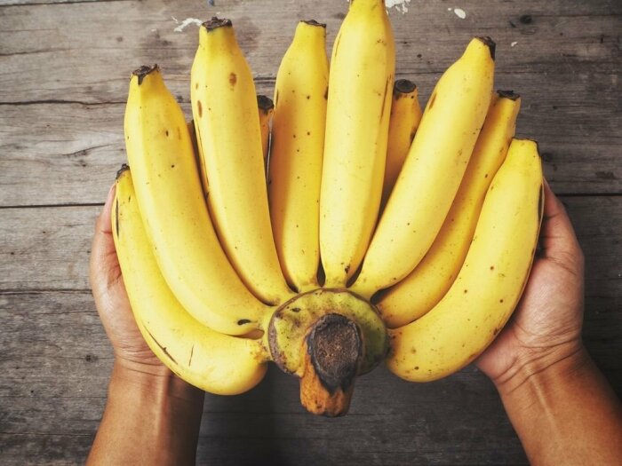 Вареные и копченые: почему в Венесуэле бананы считаются овощем, а не фруктом бананы, бананов, практически, платано, являются, сладкие, относятся, основным, Каракасе, готовят, много, Венесуэле, совершенно, сладость, отсутствует, употребляют, некоторые, вообще, имеется, сыром