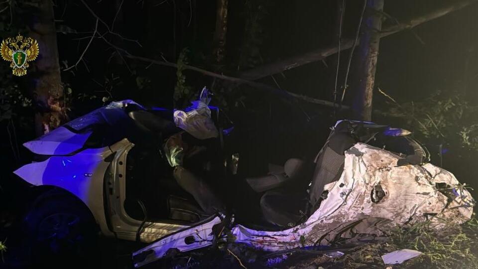 Четыре подростка погибли при столкновении машины с деревом в Подмосковье