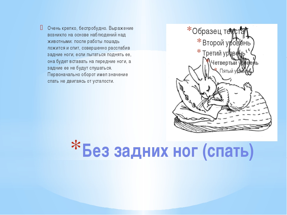 Крепче спишь пословица. Выражение спать без задних ног. Без задних ног фразеологизм. Спать без задних ног фразеологизм. Спал без задних ног.