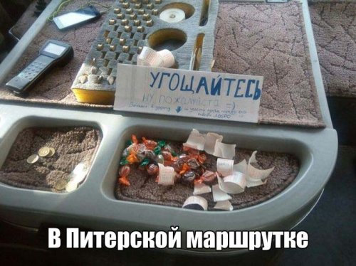 Прикольные картинки дня (50 шт)