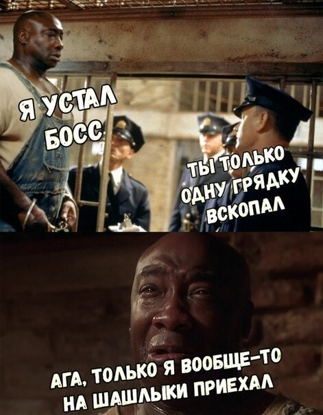 Дачный юмор 