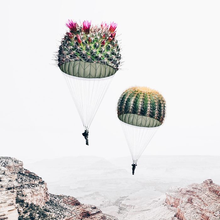 Surreal Art By Luisa Azevedo