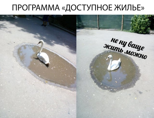 Фотоподборка субботы юмор