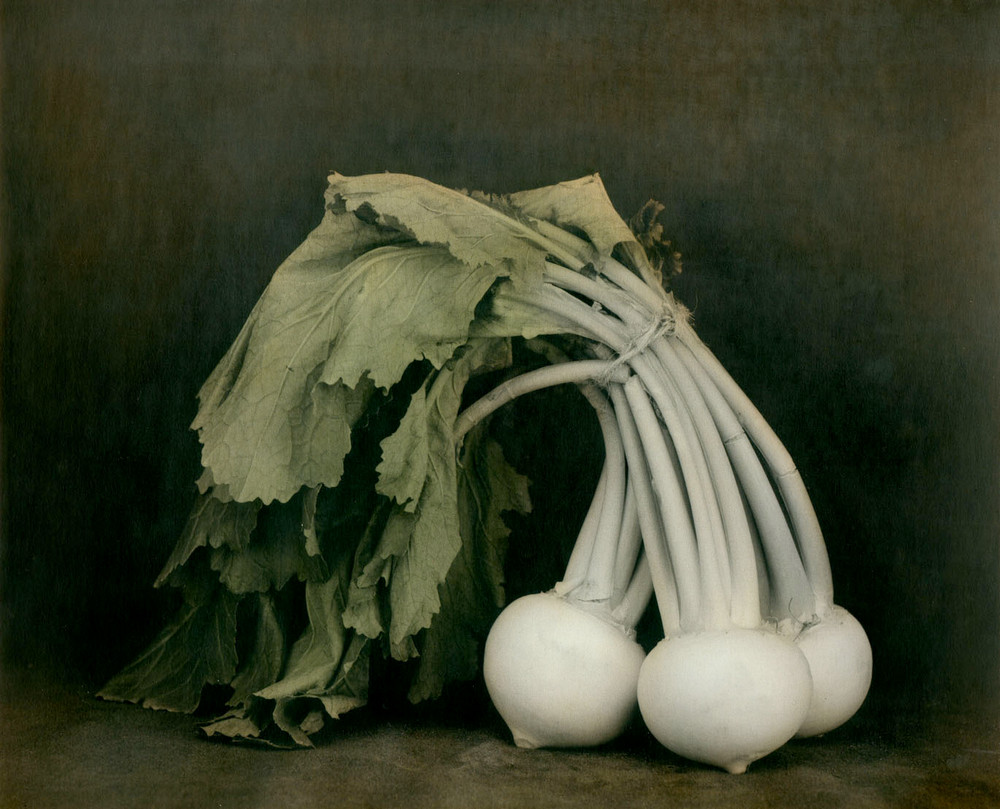 Как изящен кабачок! Удивительные натюрморты Ингара Краусса Как изящен кабачок! Удивительные натюрморты Ингара Краусса