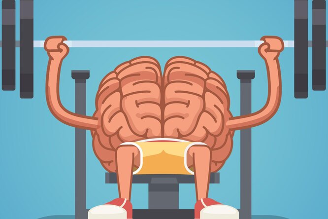 Фитнес без движения: как наш мозг сжигает много лишних калорий