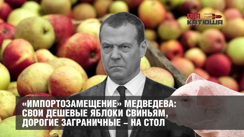 «Импортозамещение» Медведева: свои дешевые яблоки свиньям, дорогие заграничные - на стол