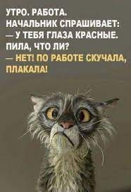 Новые прикольные картинки с надписями Новые прикольные картинки с надписями