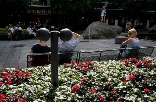 30 кадров, пойманных в самый подходящий момент