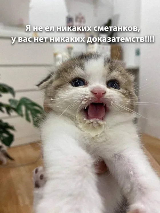 Входной - не повод для грусти! Подними настроение убойной дозой мемов!