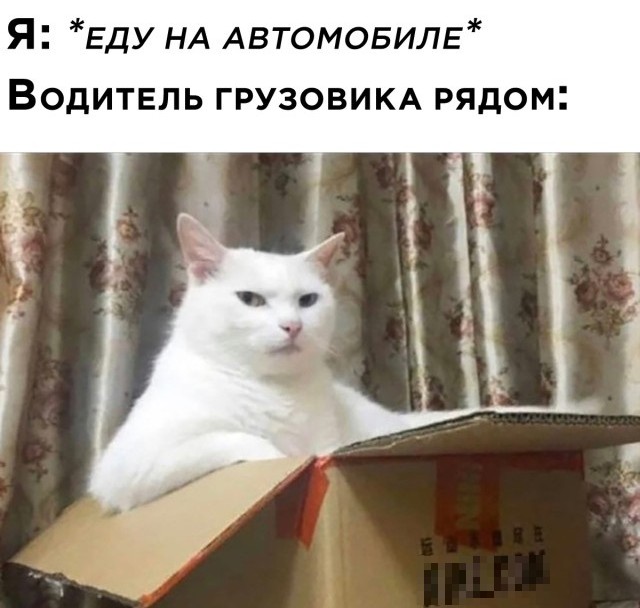 Подборка картинок. Вечерний выпуск 