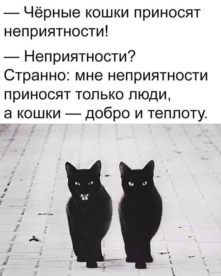 Вежливость стала такой редкостью, что ее часто путают с флиртом Вежливость стала такой редкостью, что ее часто путают с флиртом анекдоты,веселье,демотиваторы,приколы,смех,юмор