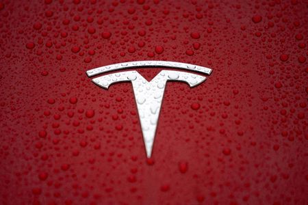 FILE PHOTO: A Tesla logo is seen at the Tesla Shanghai Gigafactory in Shanghai, China January 7, 2019. REUTERS/Aly Song 
