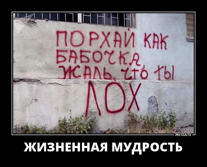 Забавные веселые демотиваторы обо всем на свете Забавные веселые демотиваторы обо всем на свете