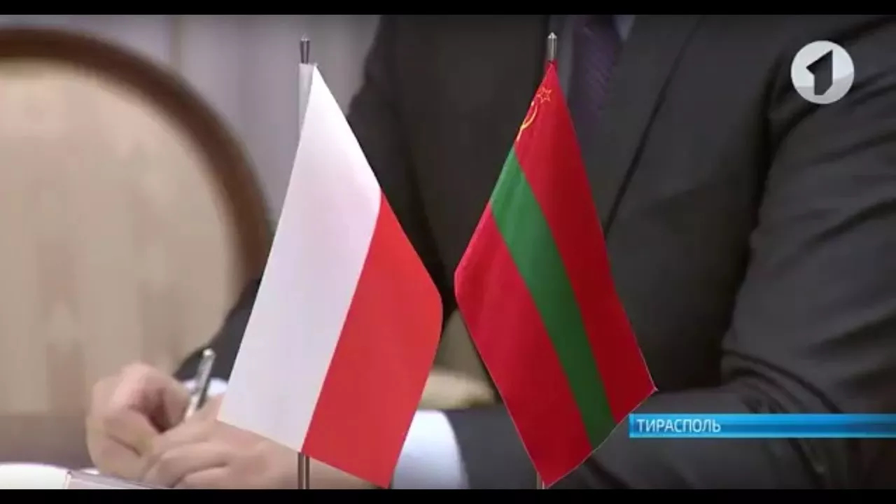 1 января Польша начала в Организации по безопасности и сотрудничеству в Европе годичное председательство,...