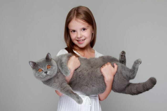 Не любит детей. /Фото: klkfavorit.ru.