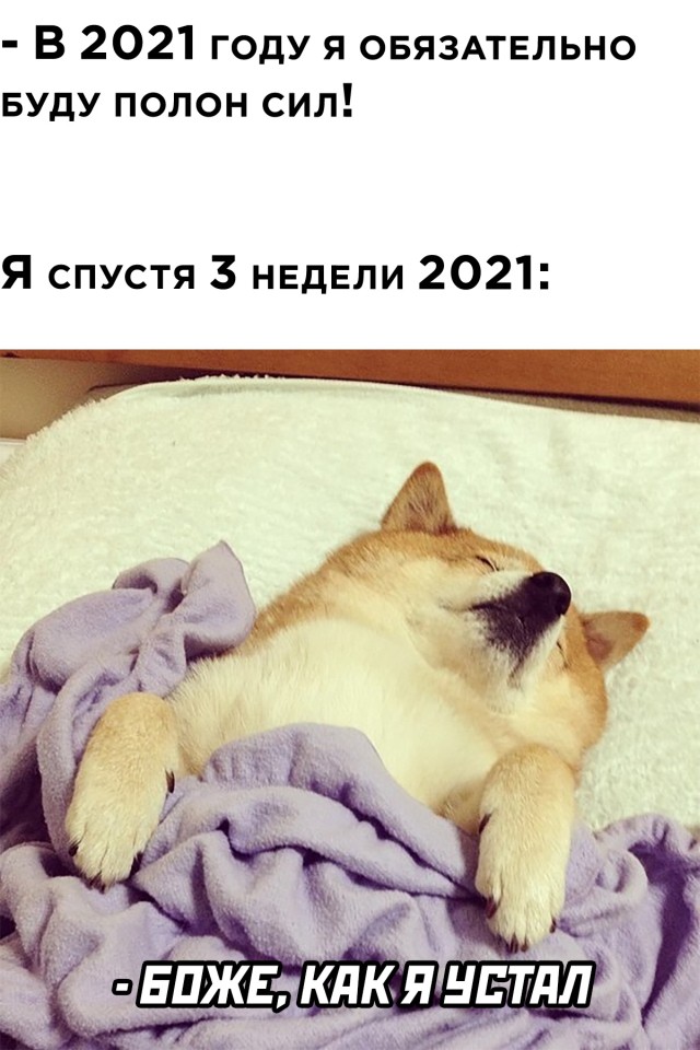 Подборка картинок. Вечерний выпуск Подборка картинок. Вечерний выпуск приколы,смешные картинки,юмор