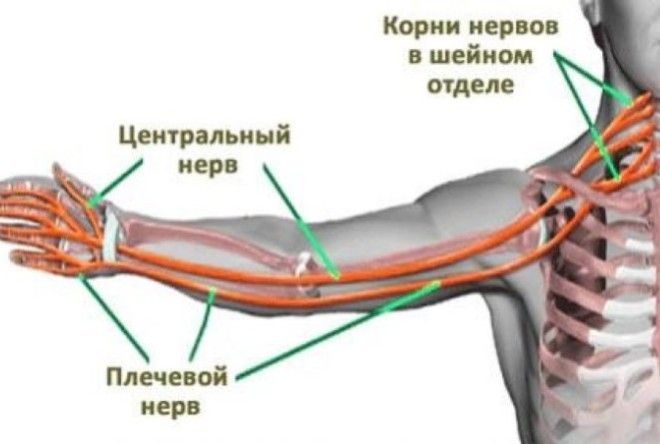 В каких случаях требуется немедленно вызывать скорую помощь?