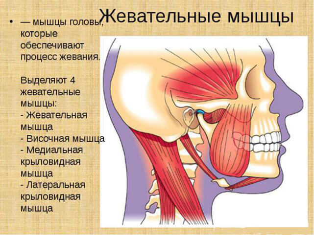 Угол МОЛОДОСТИ: Как сохранить молодость лица