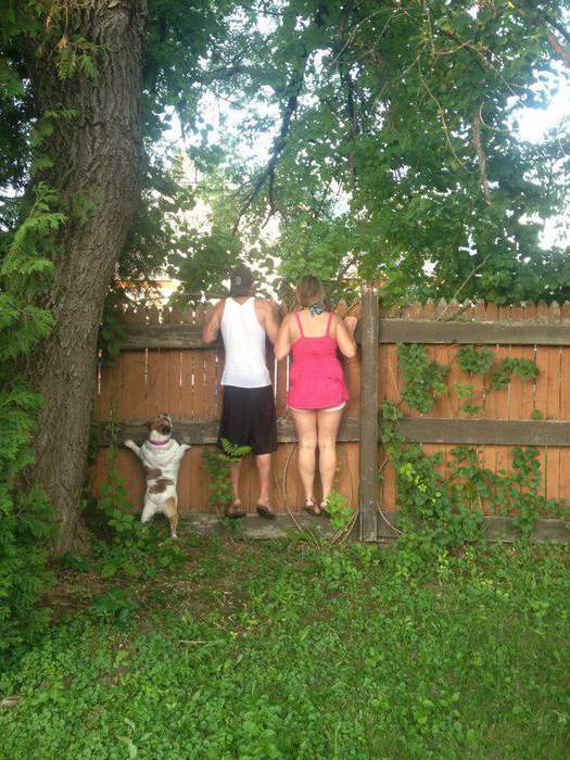 Зачетные картинки и прикольные фотографии из нашей жизни 