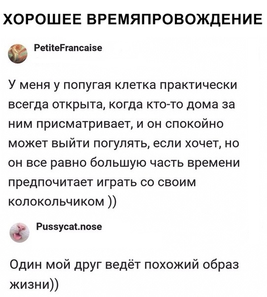 Юмористы-любители, комментирующие все что попадает в поле зрения Юмористы-любители, комментирующие все что попадает в поле зрения