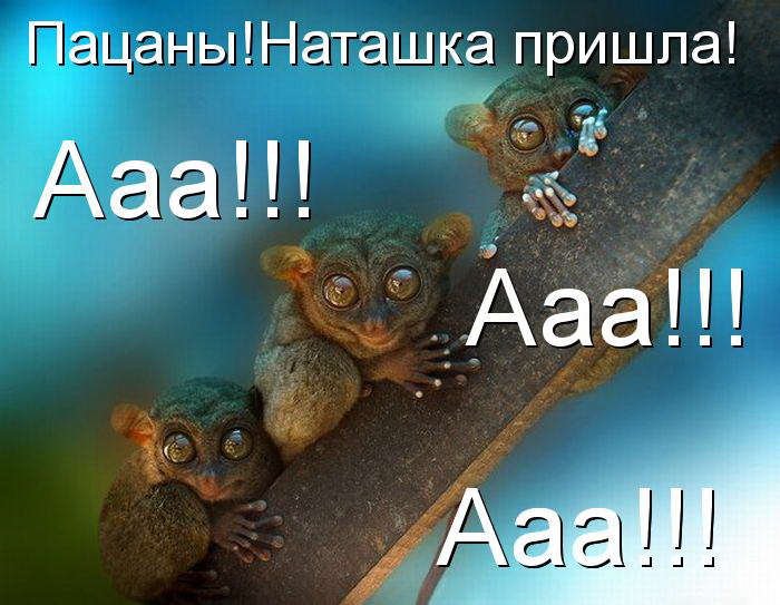 Юмор из сети: лучшая подборка 