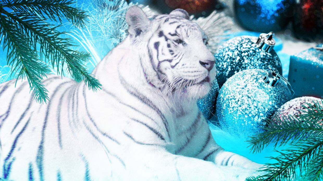 Новолуние в Водолее благоволит новаторским начинаниям и личным проектам