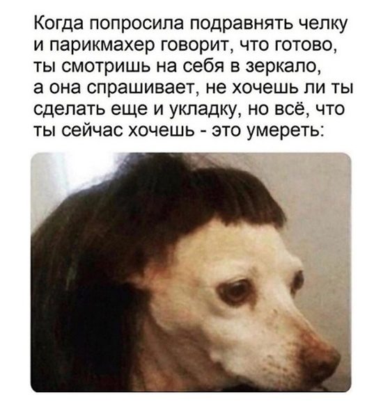 Простые шутки и картинки