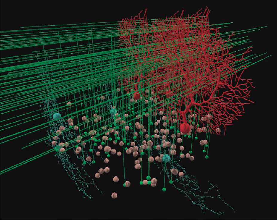 Нейросеть генерирует картинки. Нейронное дерево. Нейронная сеть 3д. Нейронный ансамбль. Мозг нейросеть.