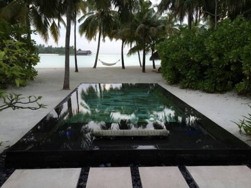 Хочу, хочу, хочу! (31 фото)