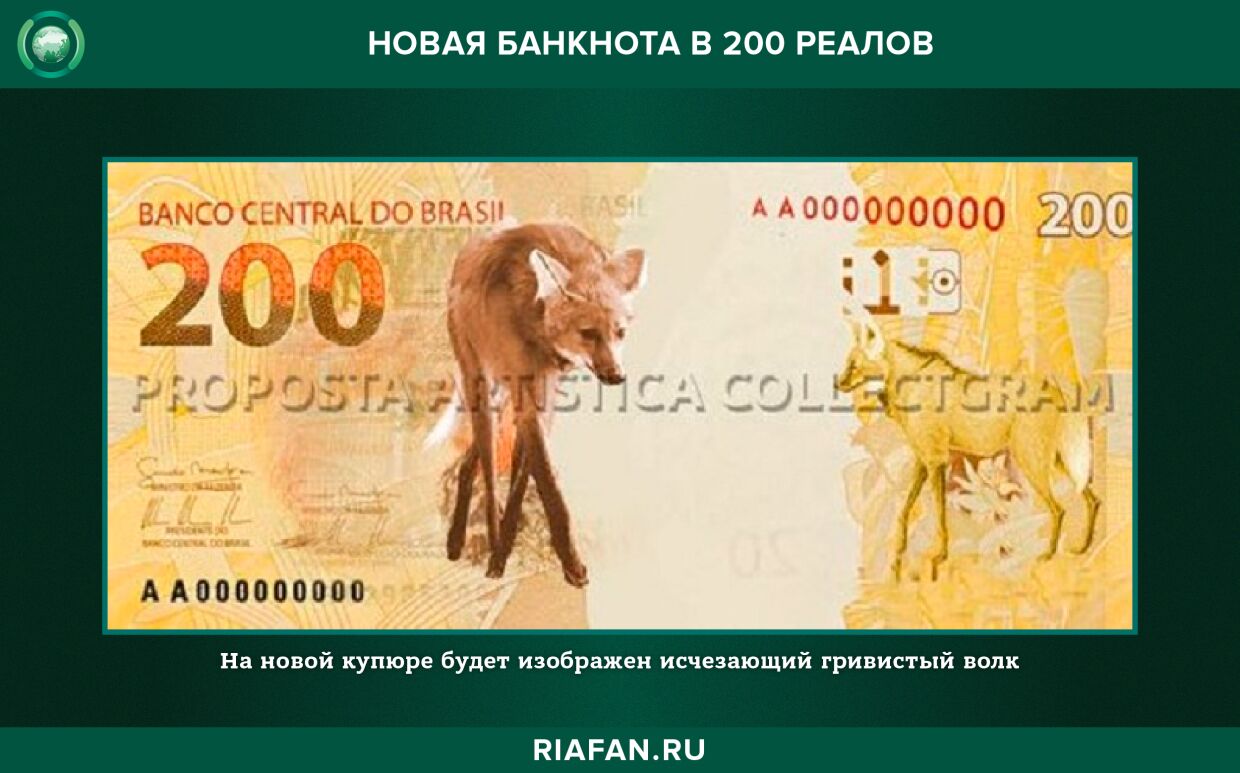 На новой банкноте изображен южноамериканский гривистый волк