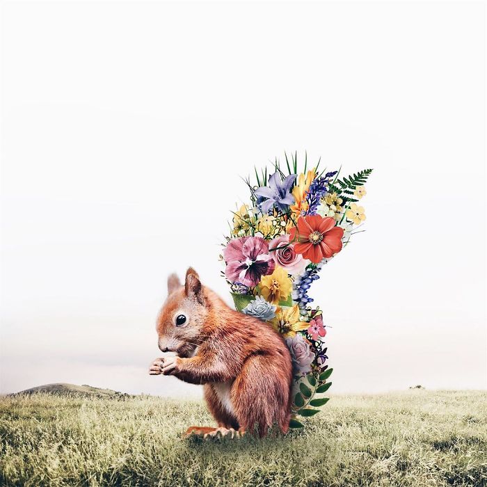 Surreal Art By Luisa Azevedo