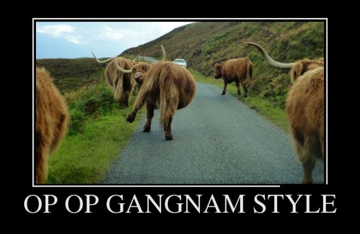 Демотиваторы (30 фото)