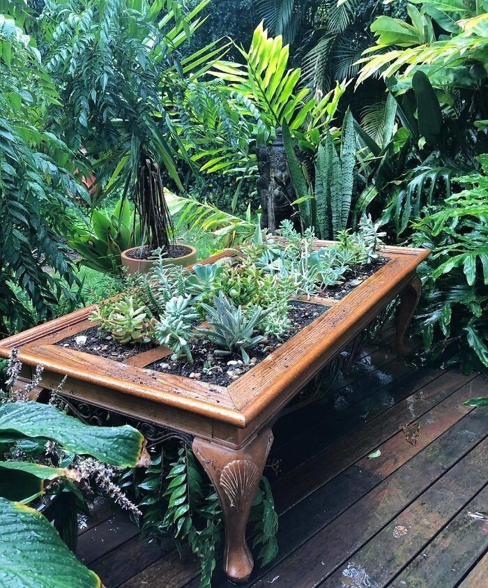 25 столов, превращенных в пышные зеленые сады идеи для дома,интерьер и дизайн,комнатные растения