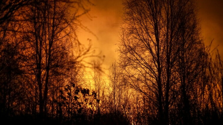 Пожары, угрожавшие населенным пунктам Курганской области, ликвидированы