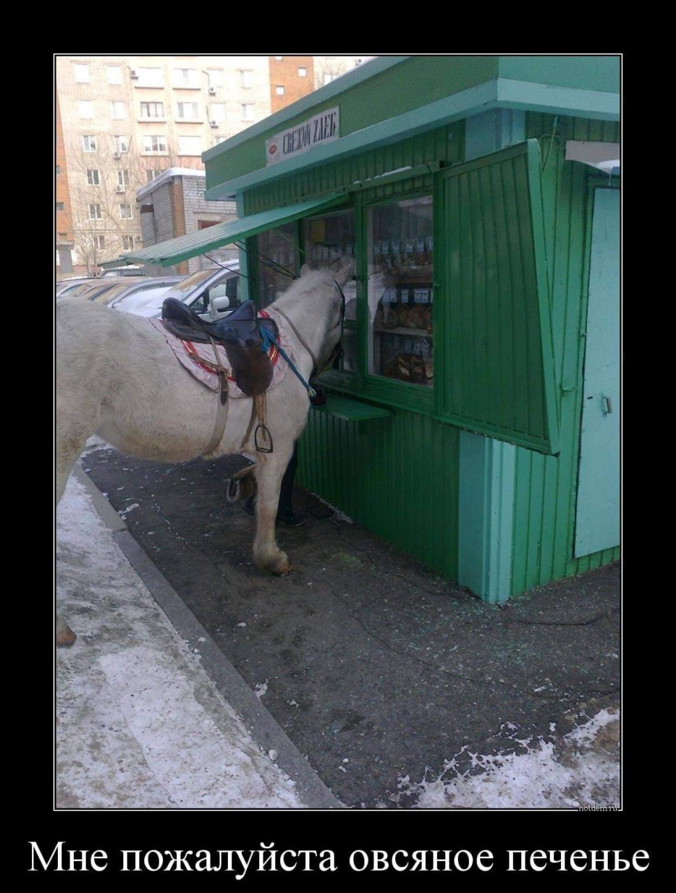 Холода ударили - согреваемся улыбками?))