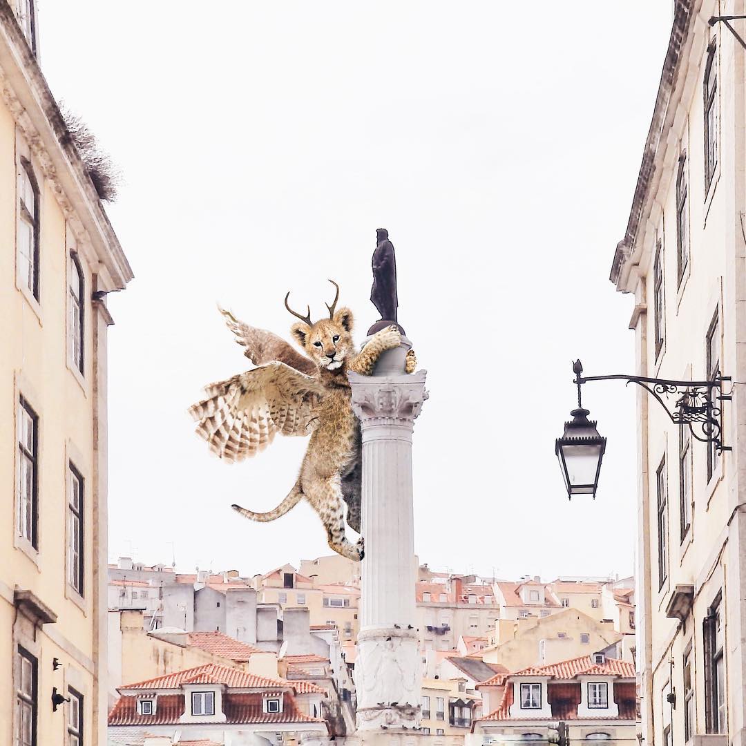 Луиза Азеведо и ее сказки Луиза Азеведо и ее сказки