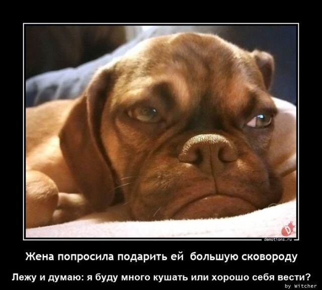 Демотиваторы для позитива 