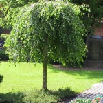 Семья - это разговаривать с человеком, который сидит в туалете анекдоты