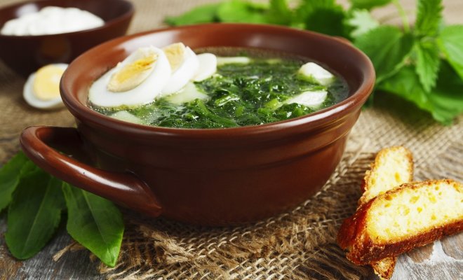 Летние щи: с капустой, с крапивой, со щавелем и другими вкусностями