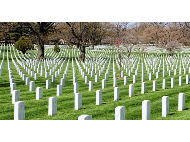 Роль США во Второй мировой войне: цифры, факты, память... мировой, Второй, войны, тысяч, американцев, очень, Штаты, человек, только, самых, время, армии, войне, является, ветеранов, солдат, победу, однако, истории, Конгресса