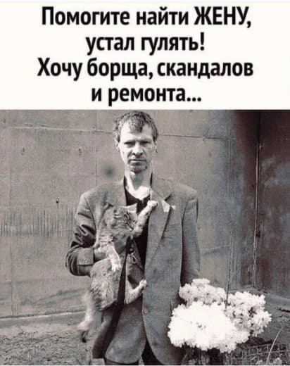 Юморные картинки 