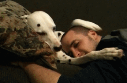 Веселые и забавные гифки 