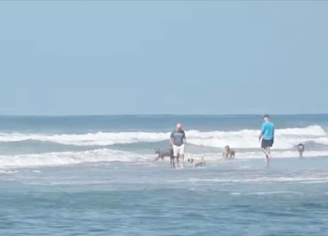 Люди в океане 