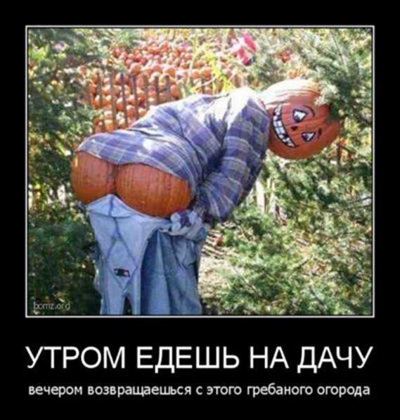 Дачный юмор 