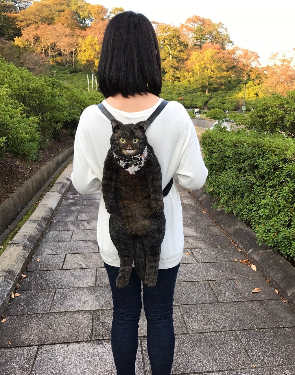 Котосумки: необычный японский тренд котосумки, выглядят, просто, очень, сейчас, немного, также, какойто, котов, своих, можно, такой, Мастерица, модели, знаменитойСтоит, заказами, завалена, менее, изображающие, долларов