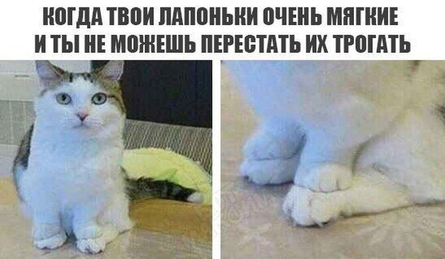 Простые шутки и картинки
