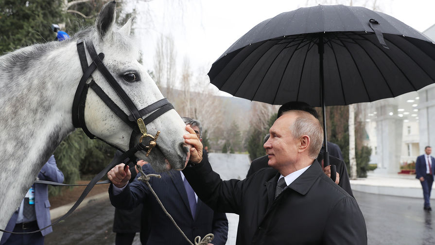 Путин без коня