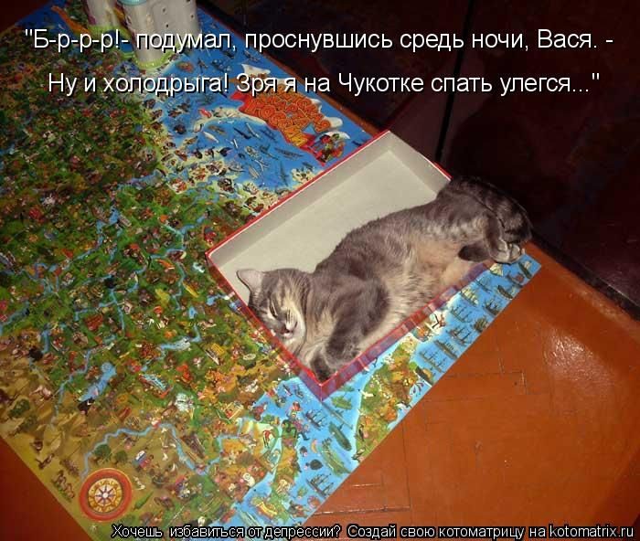 Лучшие котоматрицы за прошедшую неделю