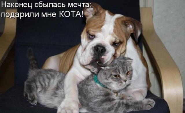 Я перестал смотреть телевизор 5 лет назад, когда пульт от него упал за диван. Оттуда еще никто не возвращался 